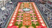 tapis-de-fleurs_une