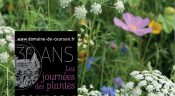 Les Journées des Plantes de Courson