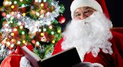 livres--fleurs-noel livres--fleurs-noel
