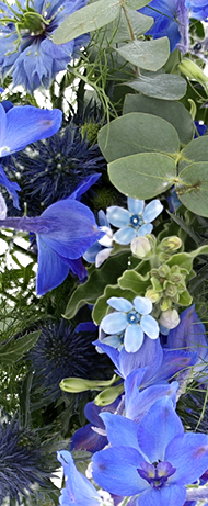 Bouquet Rêve Bleu