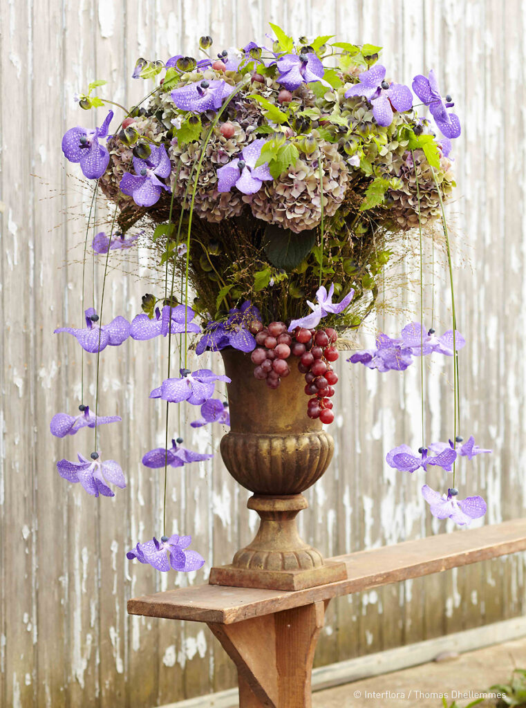 Composition florale dans un vase