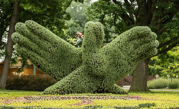Sculpture végétale Une colombe pour la paix
