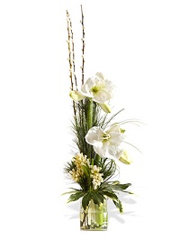Bouquet Interflora Givre