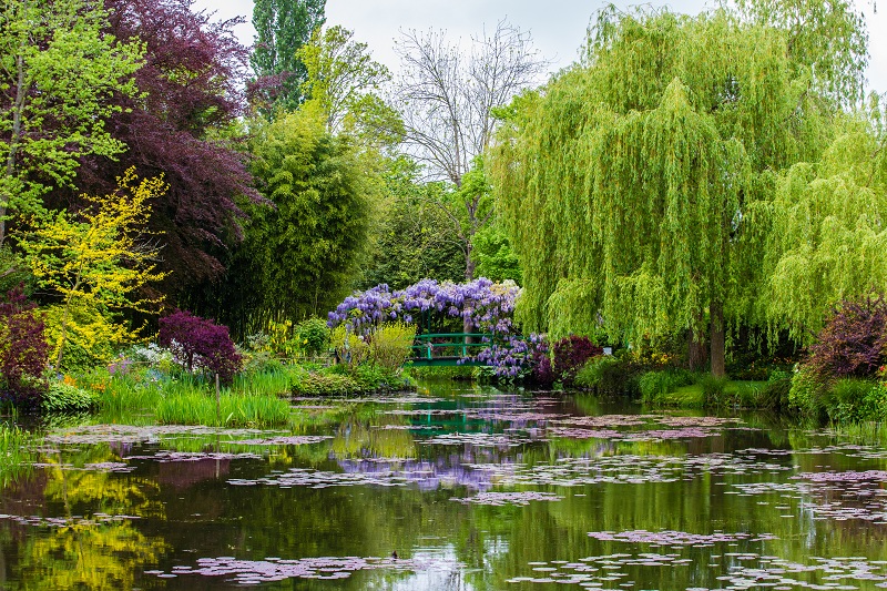 Dans les jardins de Monet