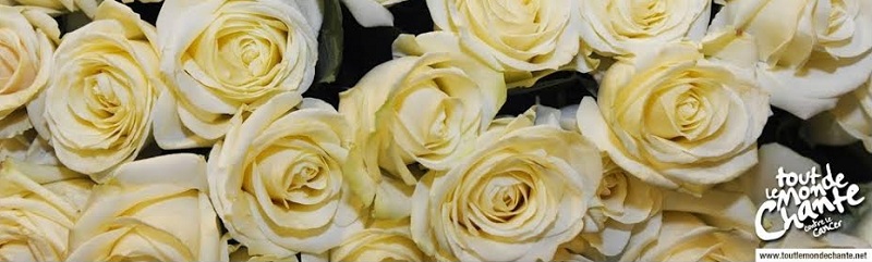 Concert contre le cancer 3