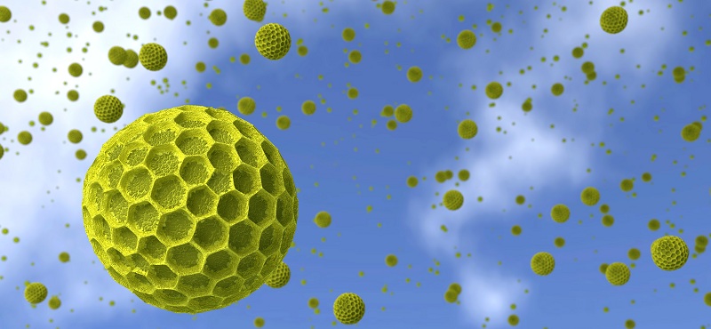 Allergie Pollen 3