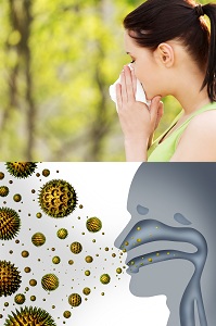 Allergie Pollen 4
