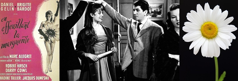 En effeuillant la marguerite