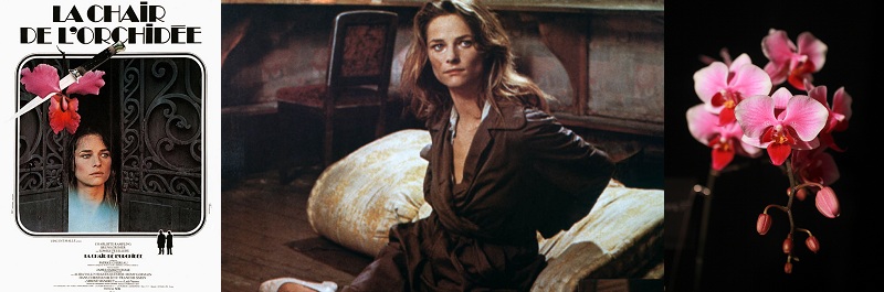 La Chair de l’orchidée