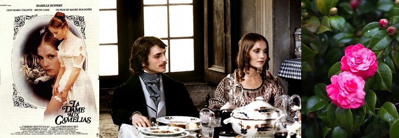 La Dame aux camélias