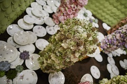 Salon du végétal 003