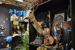 Salon du végétal 005