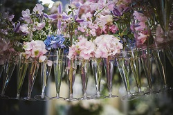 Salon du végétal 011