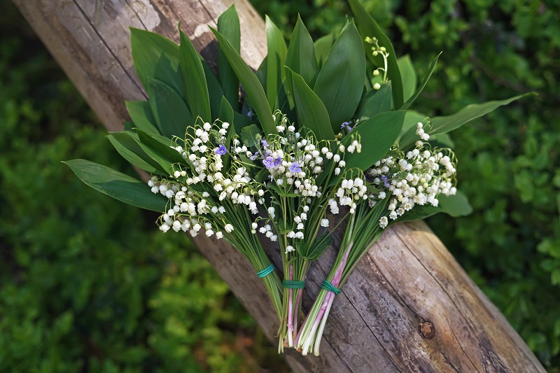 Brins de muguet