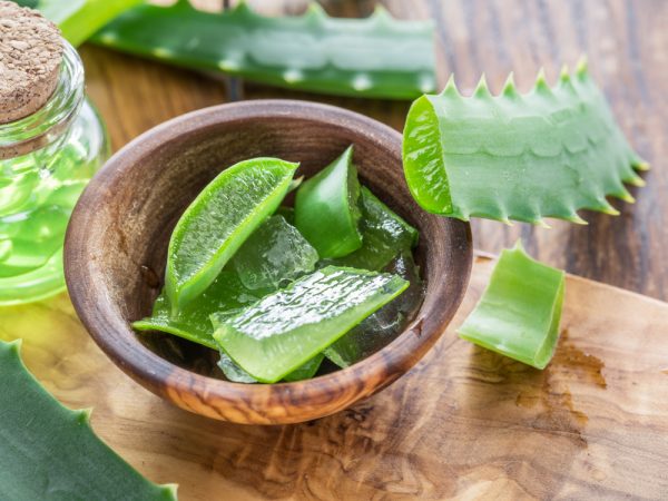 Bienfaits de l'aloe vera