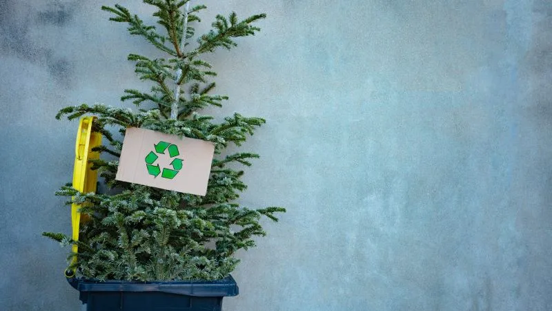 Recycler son sapin de noël