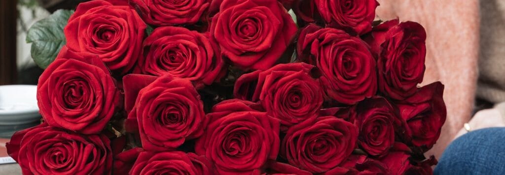 Bouquet de roses rouges