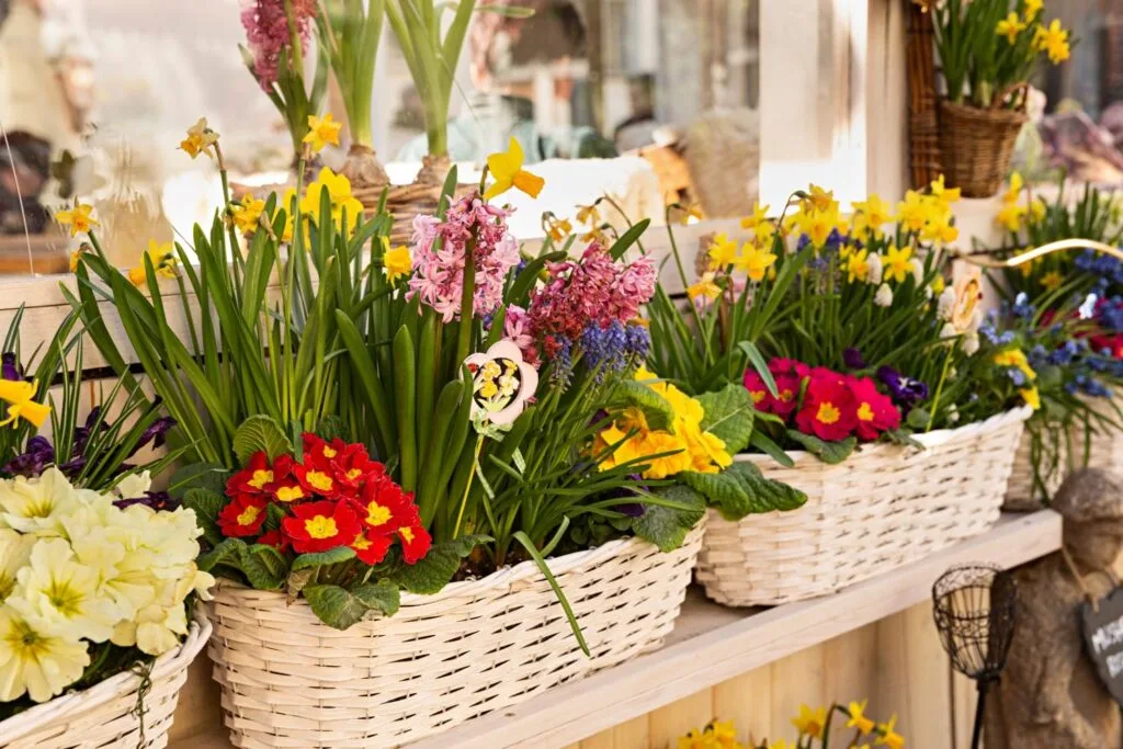 Jardinière fête des mères