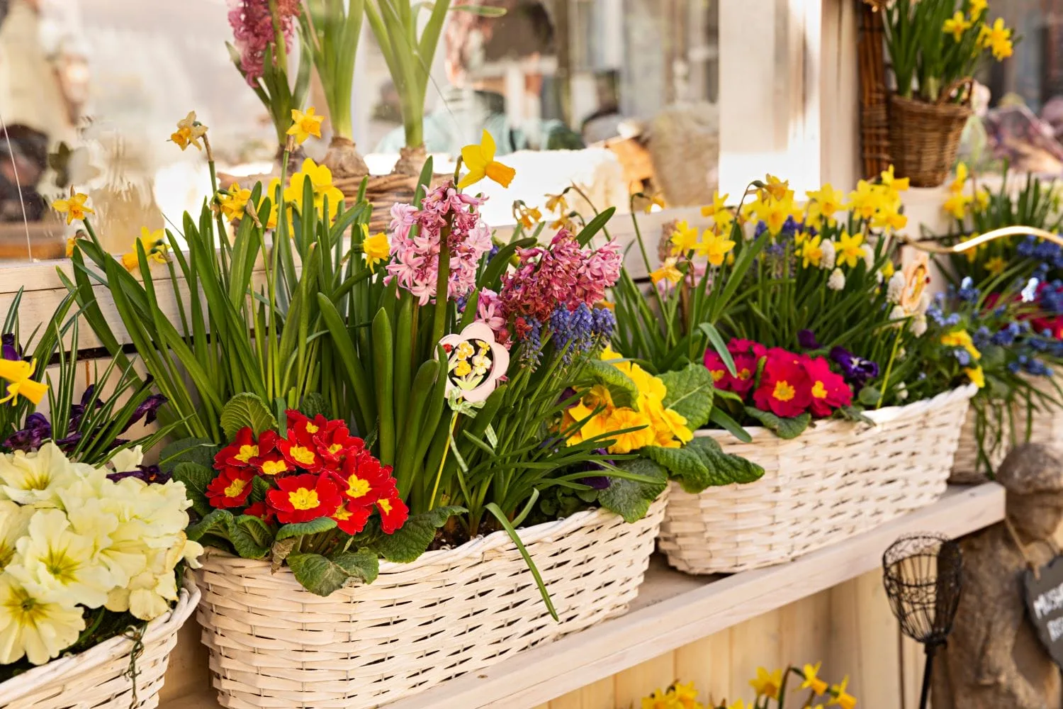 Jardinière fête des mères