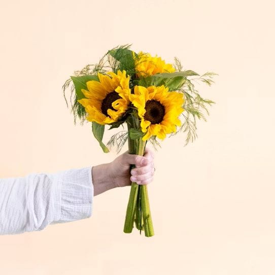 Bouquet de tournesols