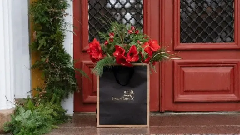 Cadeau de noël à distance