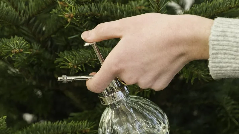 Entretenir son sapin