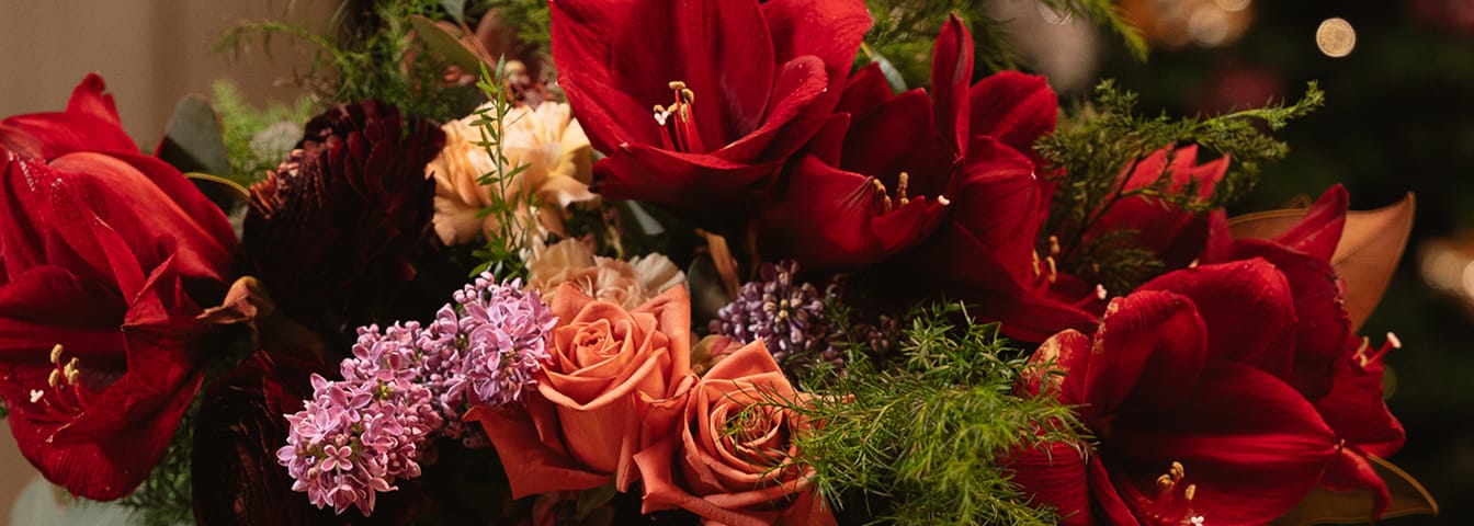 Les fleurs à offrir à Noël