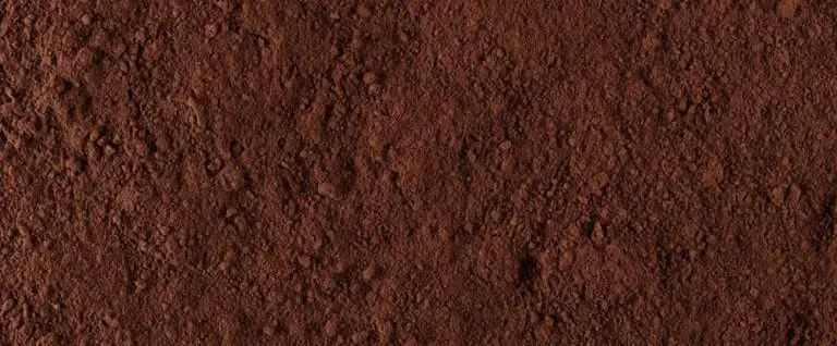 Chocolat en poudre