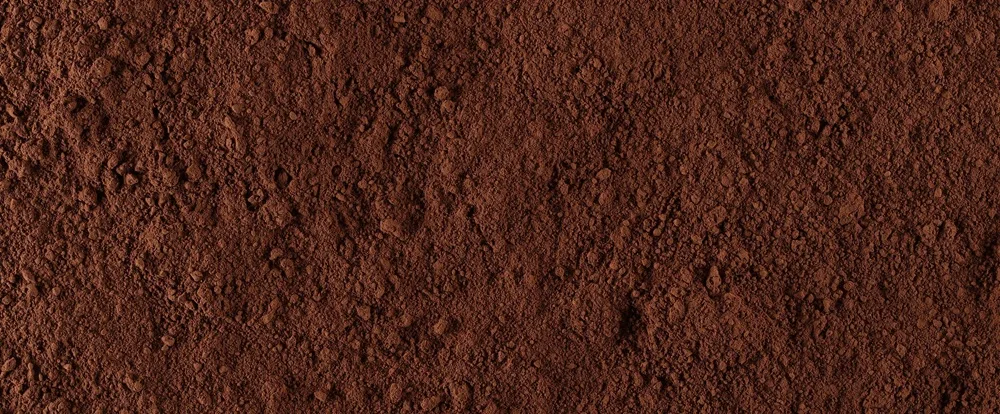 Recette : comment faire un gâteau au chocolat en poudre