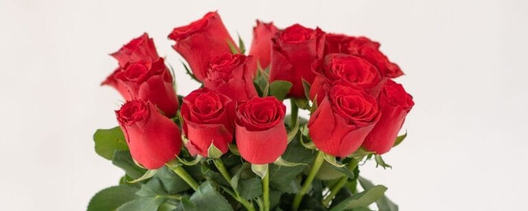 Quel est le prix des roses chez le fleuriste ?