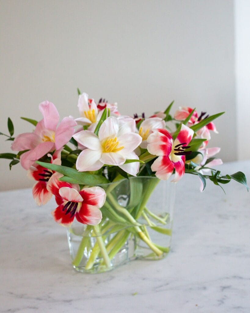 Bouquet de tulipes ouvertes dans un vase
