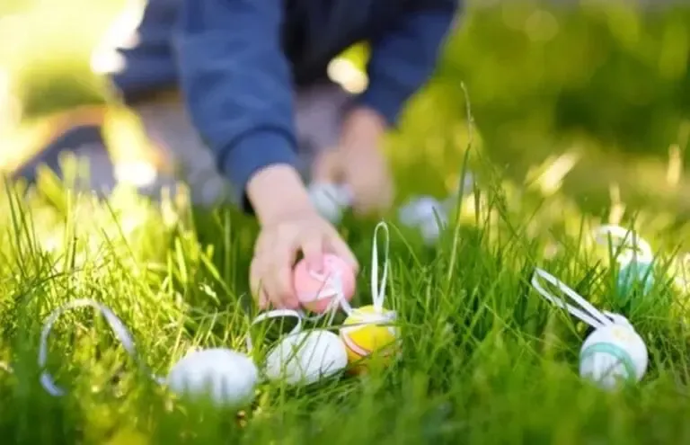 Main d'un enfant qui participe à une chasse aux oeufs de pâques