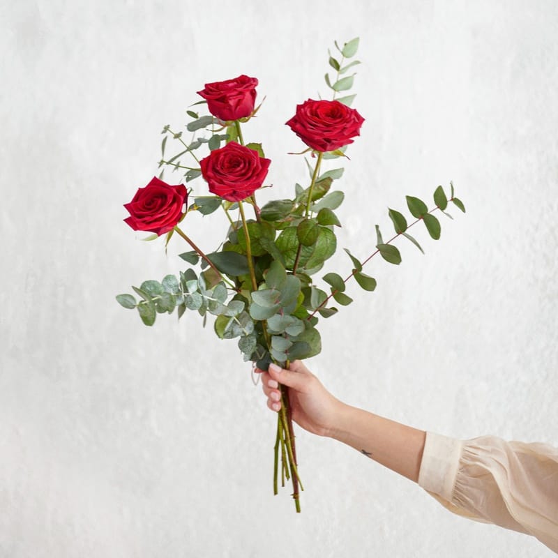 Roses grandes tiges
