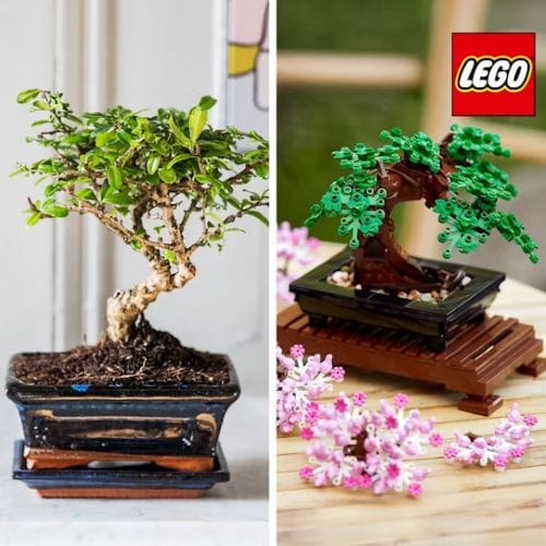 Bonsai lego