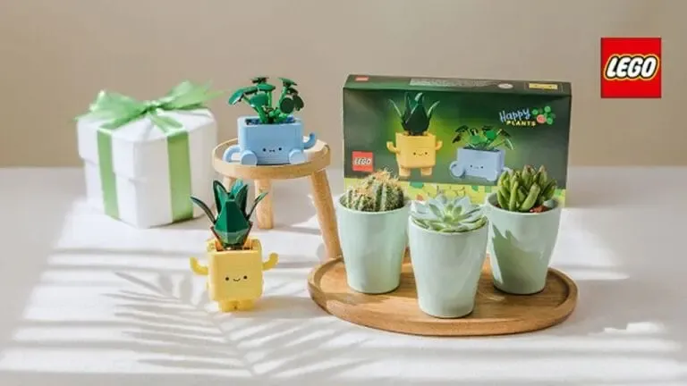 cadeau plantes fete des peres