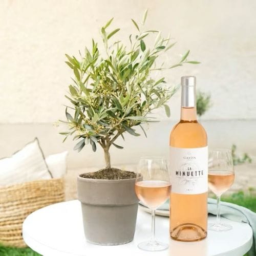 Olivier et sa bouteille de Rosé