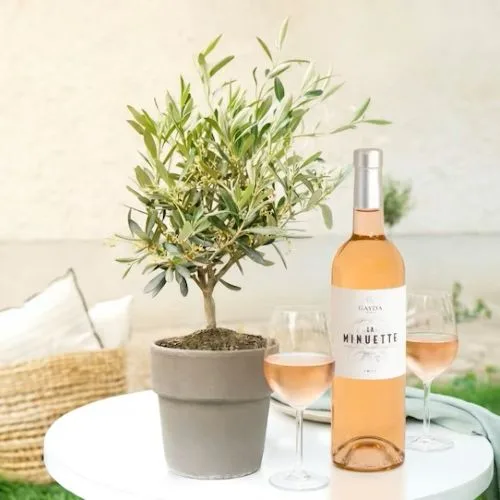 Olivier et sa bouteille de Rosé