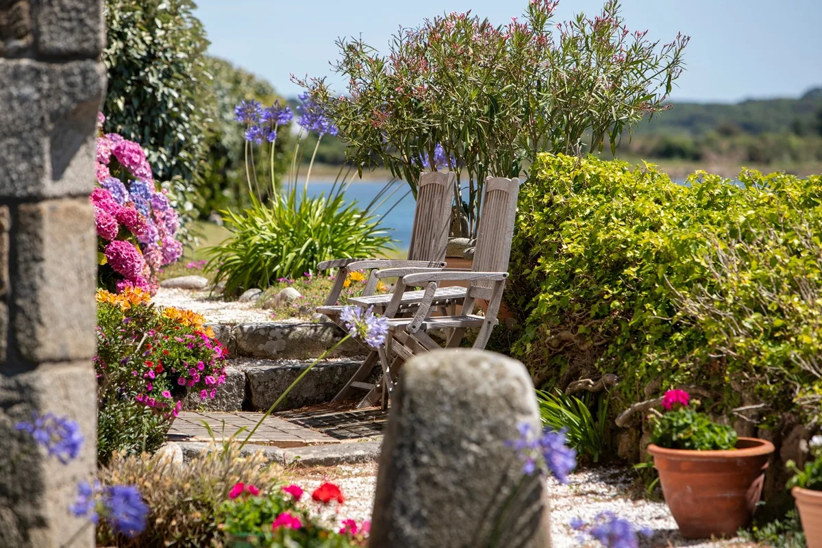 Cour fleurie avec des fleurs vivaces d'été