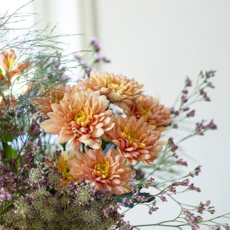 Chrysanthemes orange