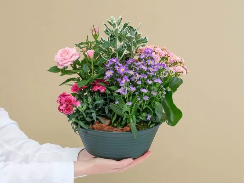 Coupe de plante pour le deuil