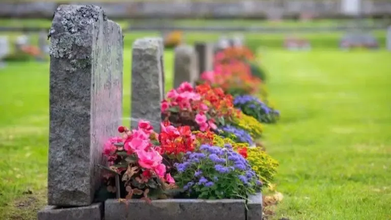 Fleurir une tombe au cimetière