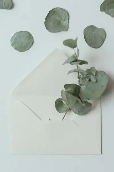 remercier pour un cadeau carte