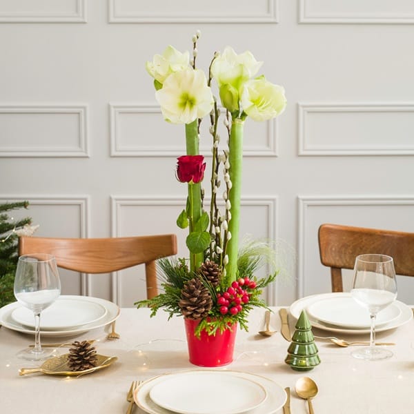 Amaryllis en pot sur une table de Noël