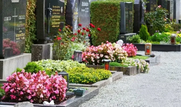 Cimetière avec des tombes fleuries grâce à des jardinières