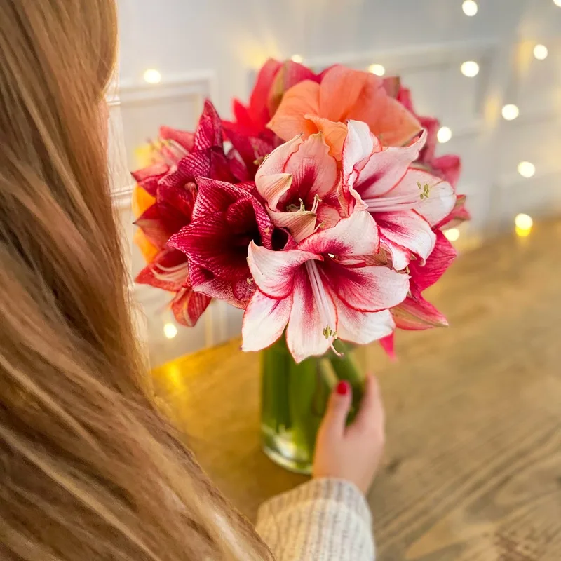 Bouquet d'amaryllis roses dans un vase