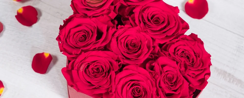 La rose stabilisée : les secrets derrière la rose éternelle