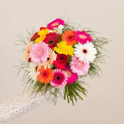bouquet de germini