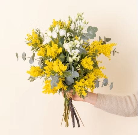 Bouquet de mimosa
