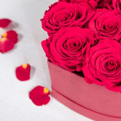 Roses stabilisées rouges dans une boîte à chapeau