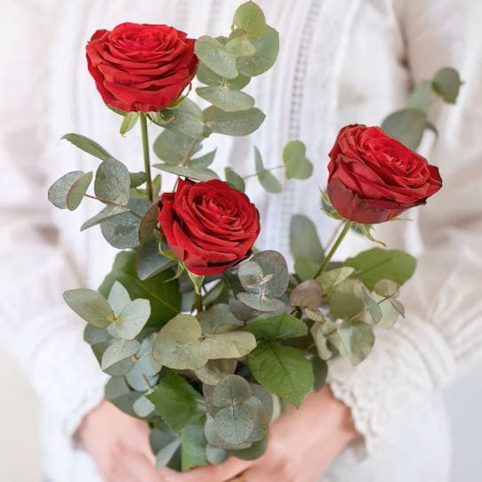 trois roses